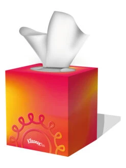 Kleenex 12er-Set Kosmetiktücher "Collection Würfel" - 12x 48 Stück 14 Kleenex 12er-Set Kosmetiktücher "Collection Würfel" - 12x 48 Stück -Modebe Kleidungs Geschäft kleenex 12er set kosmetiktucher collection wurfel 12x 48 stuck 4