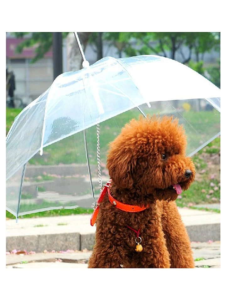 Hunde-Regenschirm In Transparent - Ø 69 Cm 1 Hunde-Regenschirm In Transparent - Ø 69 Cm