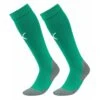 Puma Fußball Stutzen TeamLIGA Football Core Socks Green